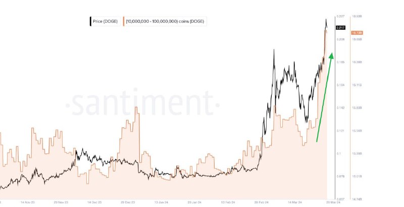 Подробнее о статье #DOGE #крипто #cot киты продолжают активно скупать Dogecoin — за последние 2 недели купили DOGE на $