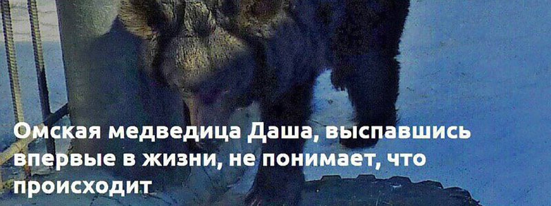Подробнее о статье #акции #россия Индекс Мосбиржи держится выше отметки 3300. Впереди —  дивидендный сезон (подробнее)