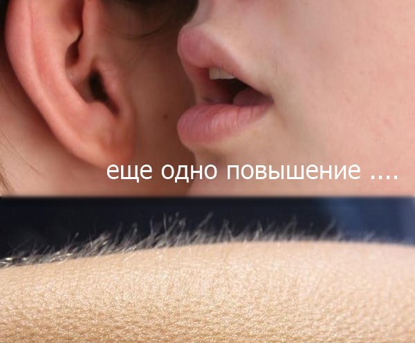 Подробнее о статье #дкп #россия  ЦБ РФ, скорее всего, отложит повышение ставки до октября  Росбанк