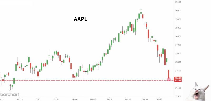 Вы сейчас просматриваете #AAPL #акции #сша #warning локомотив и один из лидеров бычьего рынка в акциях техов США в 2024г, акц