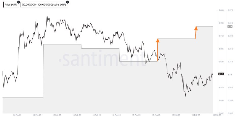 Вы сейчас просматриваете #XRP #cot #крипто Киты продолжают покупать XRP на коррекции  данные Santiment Ставки, на Polymarket